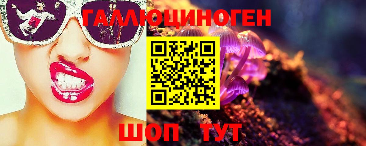 Псилоцибиновые грибы Psilocybe  Вход с VPN  где найти наркотики  Похвистнево  Псилоцибиновые грибы Magic Shrooms 