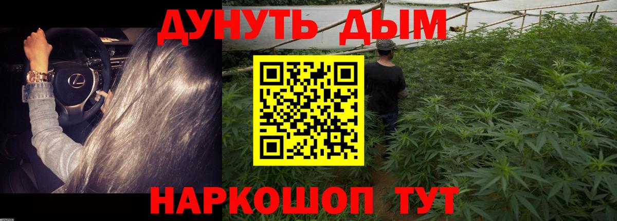 Похвистнево  Каннабис конопля  Каннабис гибрид  Шишки марихуана тримм  Вход с VPN  Бошки Шишки OG Kush 